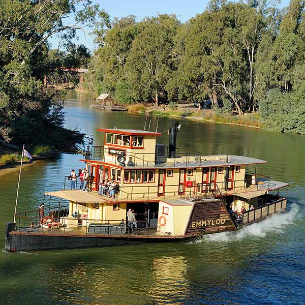Echuca Vetinerary services