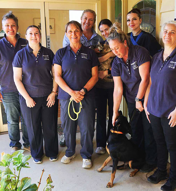 Mathoura Vet services by Perricoota Veterary Team