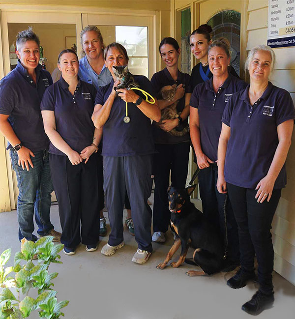 Perricoota Veterary Clinic Echuca Team